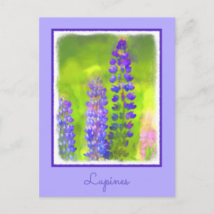 Lupine Painting - Originelle Blume Kunst Postkarte