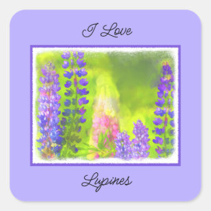 Lupine Painting - Originelle Blume Kunst Quadratischer Aufkleber