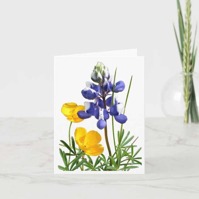 Lupine Poppies Note Card Karte (Vorderseite)
