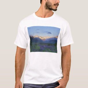 Lupine und die Hauptspalte, Arthur's Pass, Süd T-Shirt