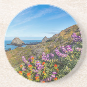 Lupine und Pinsel Sandstein Untersetzer