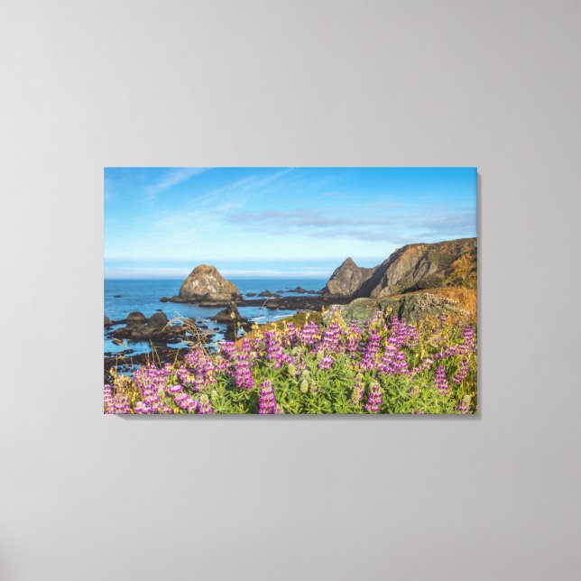 Lupine-Wildblumen bedecken die Hügel Leinwanddruck (Vorderseite)