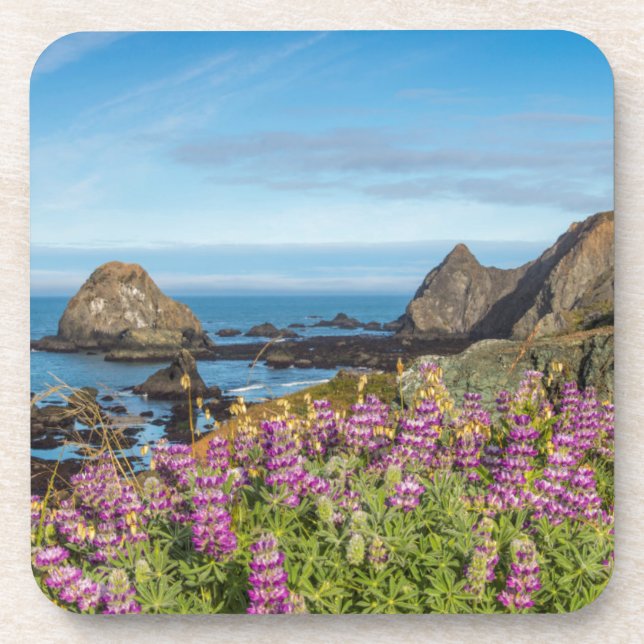 Lupine Wildblumen bedecken die Hügel Untersetzer (Vorderseite)