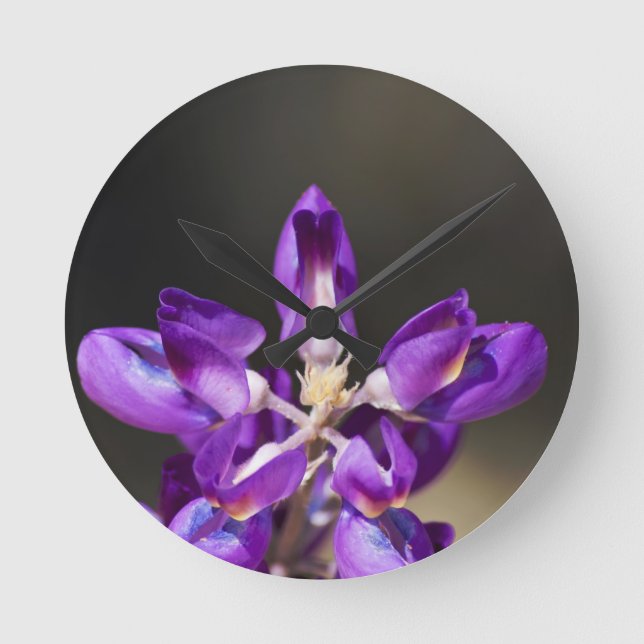 Lupine Wonder Runde Wanduhr (Vorderseite)