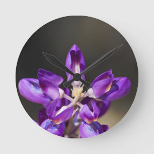 Lupine Wonder Runde Wanduhr