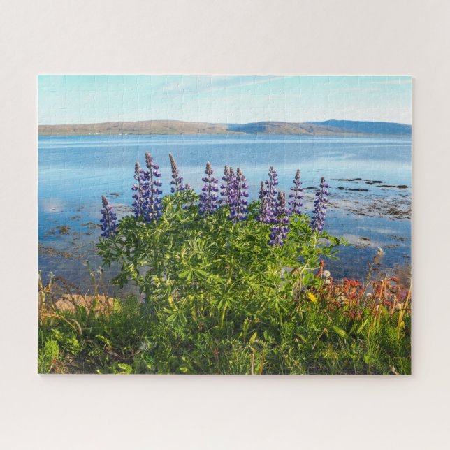Lupinen eines isländischen Fjord-Jigsaw-Puzzles Puzzle (Horizontal)