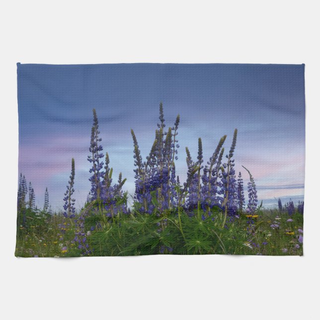 Lupinen     geschirrtuch (Horizontal)