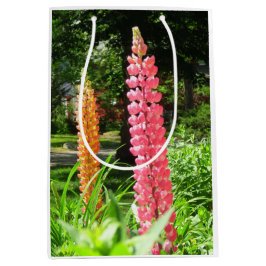 Lupinen im Hütte Garden - Martha's Vineyard Mittlere Geschenktüte
