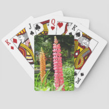 Lupinen im Hütte Garden - Martha's Vineyard