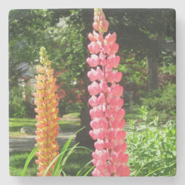 Lupinen im Hütte Garden - Martha's Vineyard Steinuntersetzer