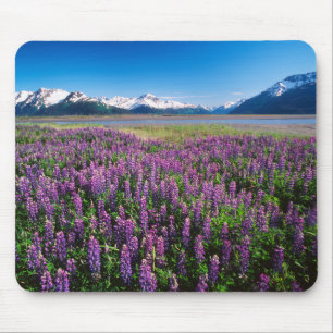 Lupinen in Bloom   Kenai Mountains, Alaska Mousepad