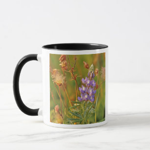 Lupinen & Prärie-Rauch Wildblumen in Montana 2 Tasse