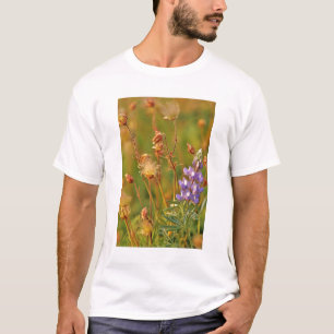 Lupinen & Prärie-Rauch Wildblumen in Montana T-Shirt