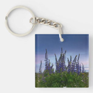 Lupinen   schlüsselanhänger