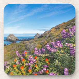 Lupinen- und Schlauchpinsel-Wildblumen Getränkeuntersetzer