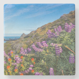 Lupinen- und Schlauchpinsel-Wildblumen Steinuntersetzer