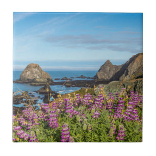 Lupinen-Wildblumen bedecken die Hügel Fliese