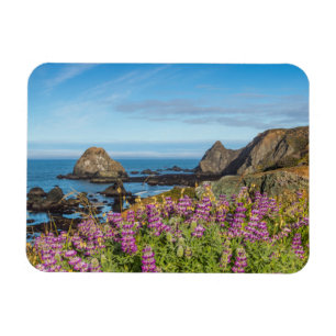 Lupinen-Wildblumen bedecken die Hügel Magnet
