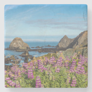 Lupinen-Wildblumen bedecken die Hügel Steinuntersetzer