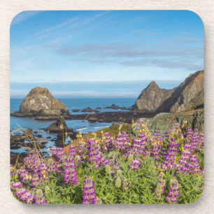 Lupinen-Wildblumen bedecken die Hügel Untersetzer