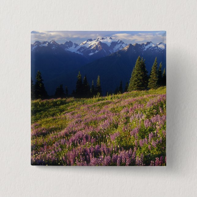 Lupinenfeld, Olympus und Wolken am Button (Vorderseite)