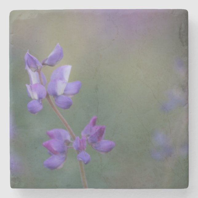 Lupinenfeld Steinuntersetzer (Vorderseite)