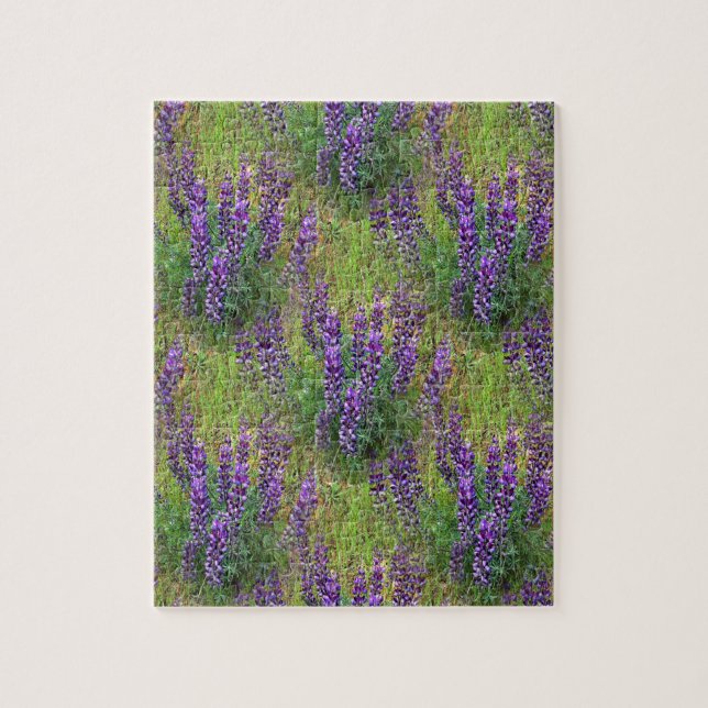 Lupines Galore... Puzzle (Vertikal)