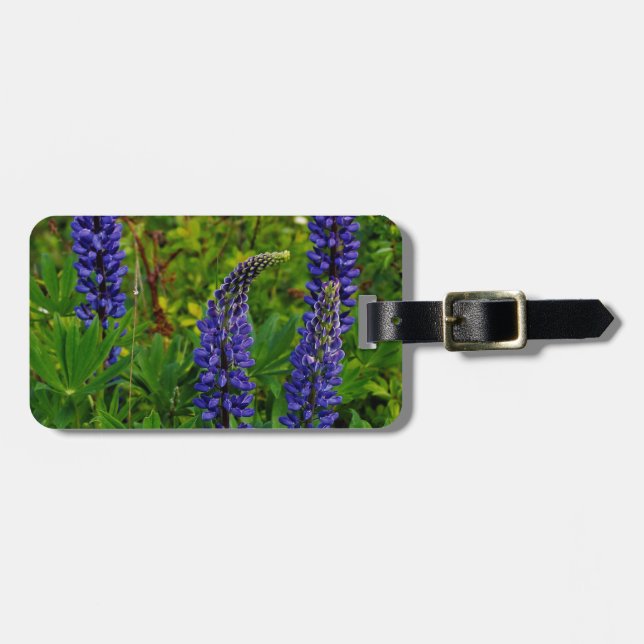 Lupines Gepäckanhänger (Vorderseite horizontal)