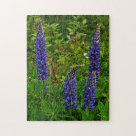 Lupines Puzzle