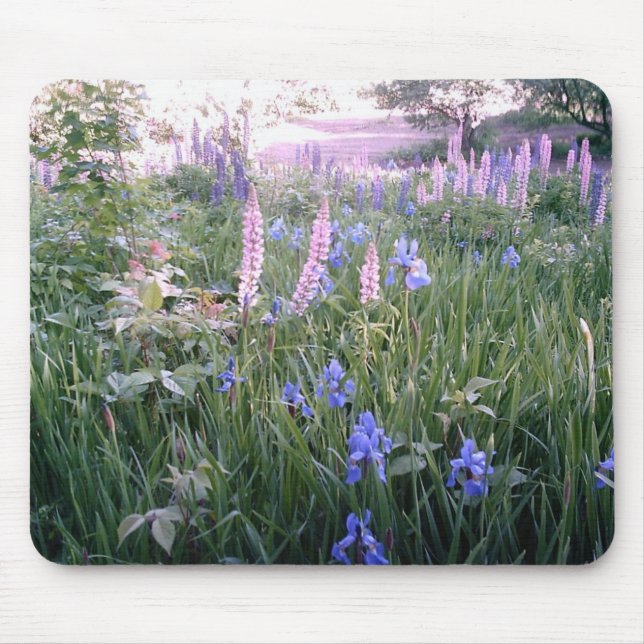 Lupines u. Iris Mousepad (Vorne)