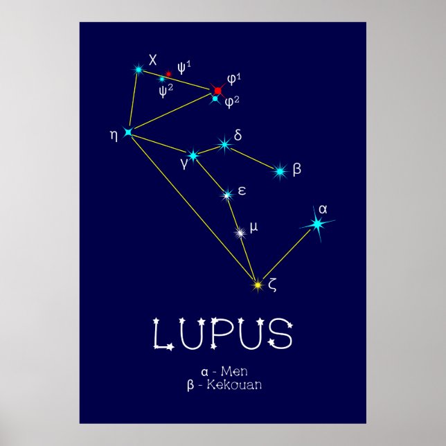 Lupus Poster (Vorne)
