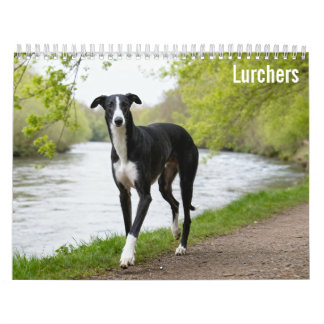 Lurcher 2027 Wandkalender
