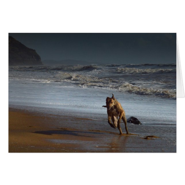 Lurcher Greyhound am Strand (Vorderseite (Horizontal))