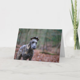 Lurcher in der Waldgrußkarte Karte