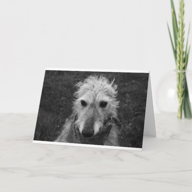 Lurcher Karte (Vorderseite)