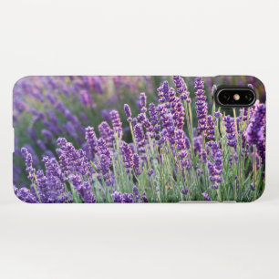 Luscious Lavender  iPhone Hülle