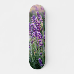 Luscious Lavender Skateboard