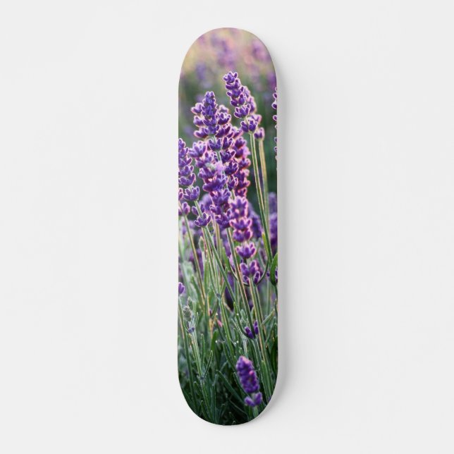 Luscious Lavender  Skateboard (Vorne)