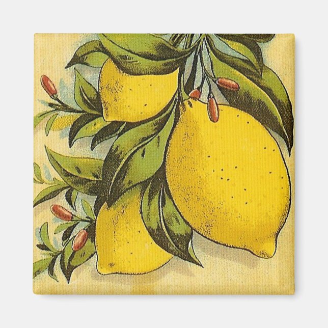 Luscious Lemons Magnet (Vorne)