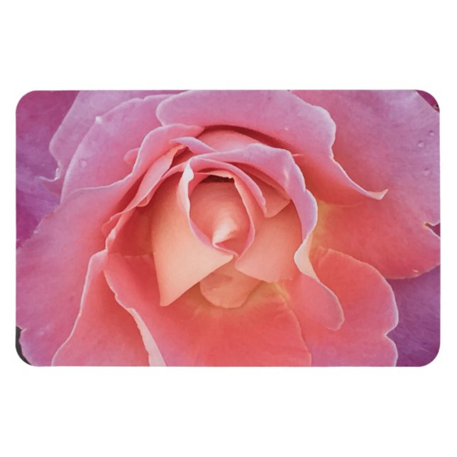 Luscious Pink Rose Magnet (Horizontal)
