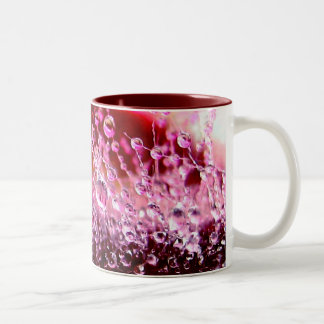 Luscious Tasse