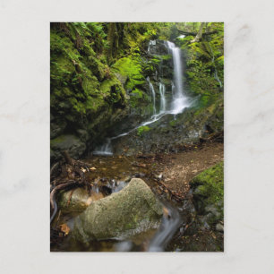 Lush California Watervall Postkarte