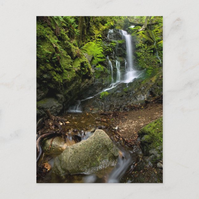 Lush California Watervall Postkarte (Vorderseite)