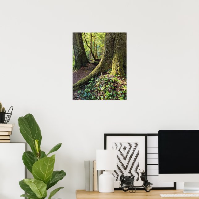 Lush Evergreen Forest Fotografy Nature Poster (Heimbüro)