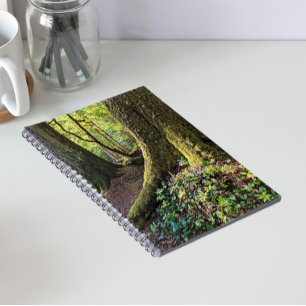 Lush Evergreen Forest Notizblock