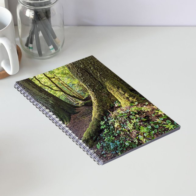 Lush Evergreen Forest Notizblock (In Situ)