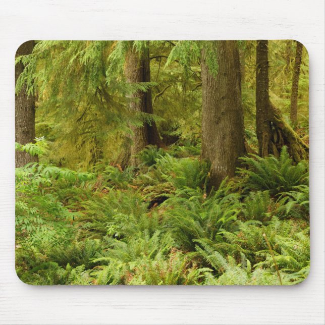 Lush Forest & Ferns | Ecola Staat Park, Oregon Mousepad (Vorne)