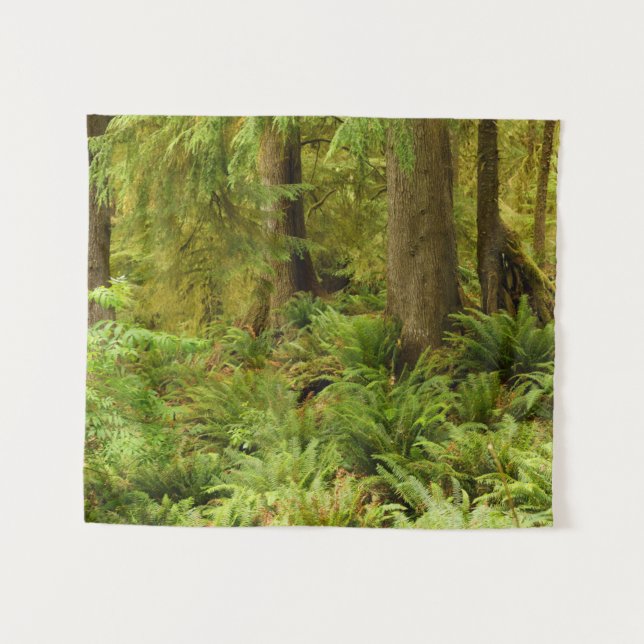 Lush Forest & Ferns | Ecola Staat Park, Oregon Wandteppich (Vorderseite (Horizontal))