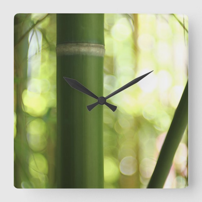Lush Green Bamboo Forest Quadratische Wanduhr (Vorderseite)