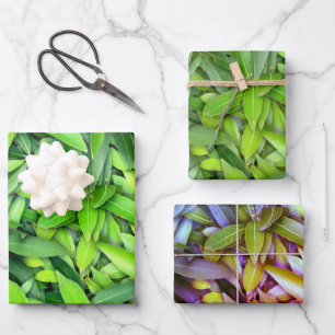 Lush Green Blätter Pattern - Natur botanisch